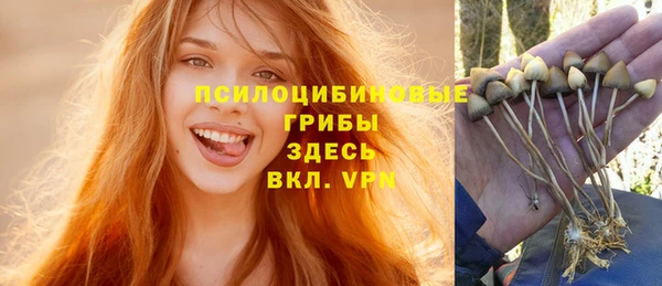 бошки Аркадак