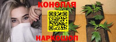 мяу мяу мука Коммунар