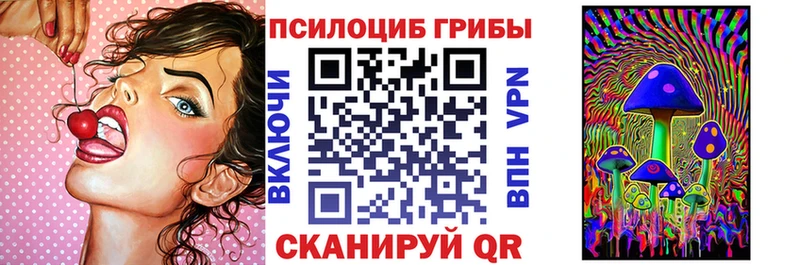 Псилоцибиновые грибы Magic Shrooms  цены   Качканар 