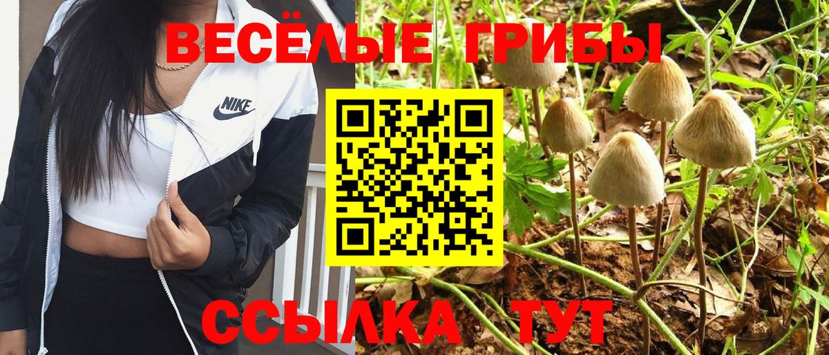 Качканар  Галлюциногенные грибы ЛСД  Псилоцибиновые грибы MAGIC MUSHROOMS  Вход с VPN 