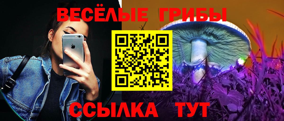 Галлюциногенные грибы Psilocybine cubensis Качканар
