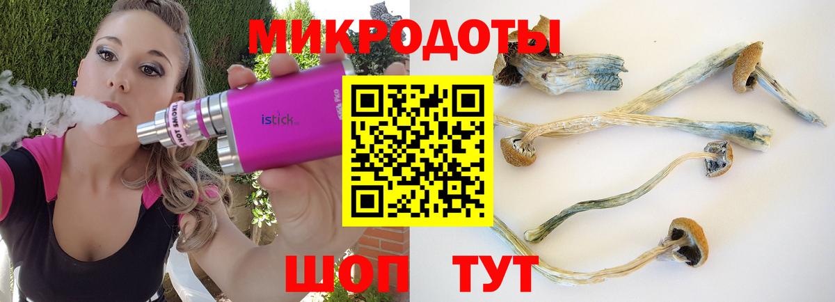 LSD-25 Качканар